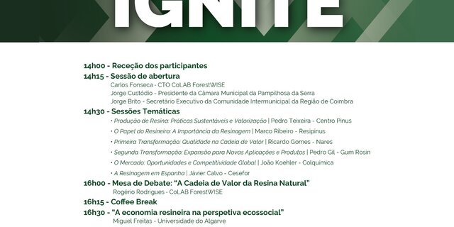 design_resinae_ignite___1x1