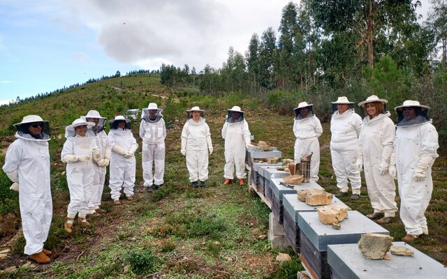 2024_11_10____apicultura_no_feminino____pampilhosa_da_serra