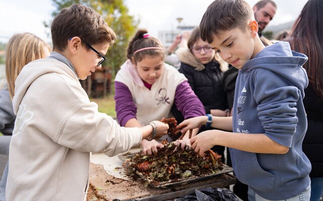2025_01_09___acao_eco_escolas_28