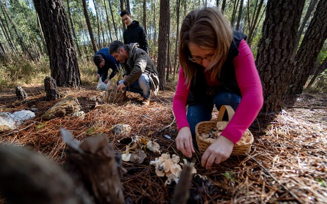 2025_01_12___passeio_micologico_096