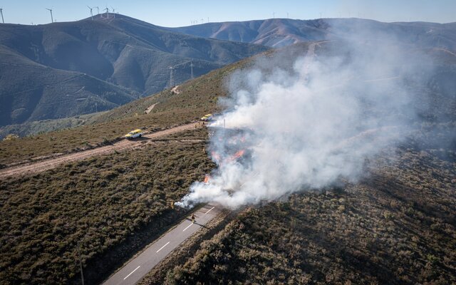 2025_01_16___fogo_controlado_63