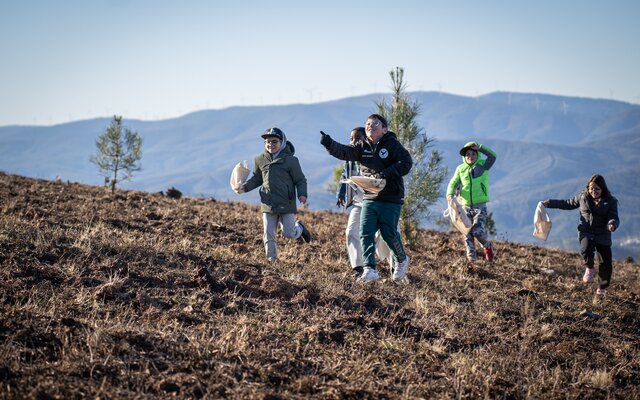 2025_01_17___beefood_49