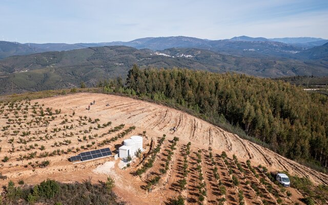 2025_02_06___campo_experimental_do_medronheiro_27