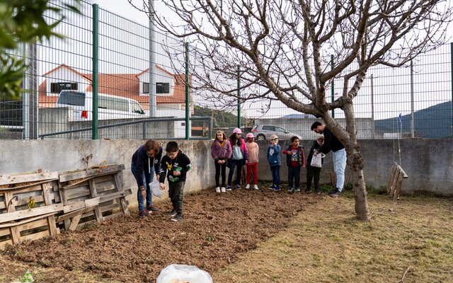 2025_02_26___bee_food___plantacao___centro_educativo_de_dz_20