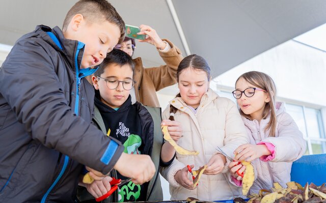 2025_03_27___eco_escolas_25