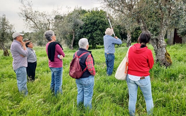 2025_03_10___apoio_a_agricultura_e_poda_de_fruteiras_e_olival_7