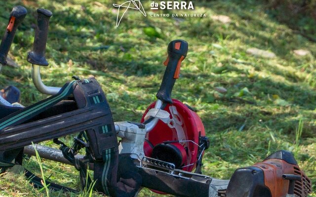 limpeza_de_matas_e_terrenos_pub_1x1_03