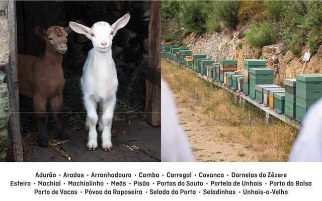 incendios_2025_entrega_de_feno_e_alimento_para_abelhas