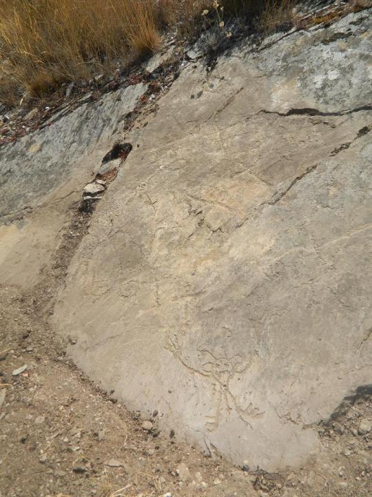 VISITAS GUIADAS-ARQUEOLOGIA