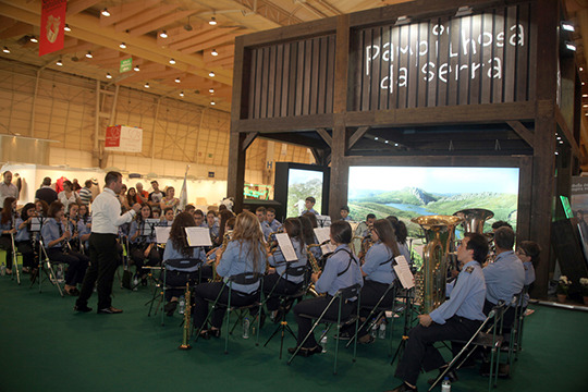 Grupo Musical Fraternidade Pampilhosense
