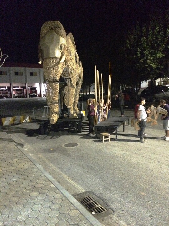 A Viagem do Elefante &ndash; Ensaios